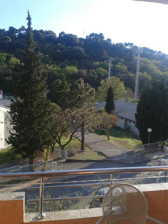 Guesthouse Lautasevic Petrovac 外观 照片