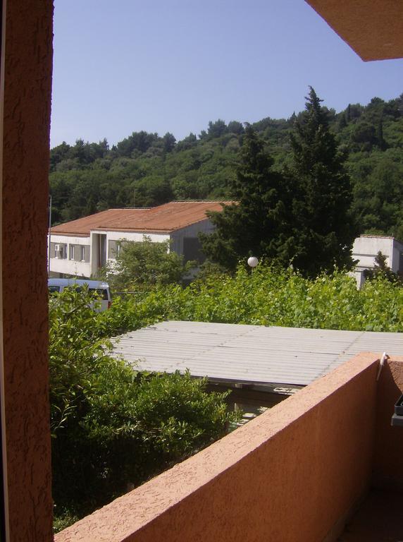 Guesthouse Lautasevic Petrovac 外观 照片